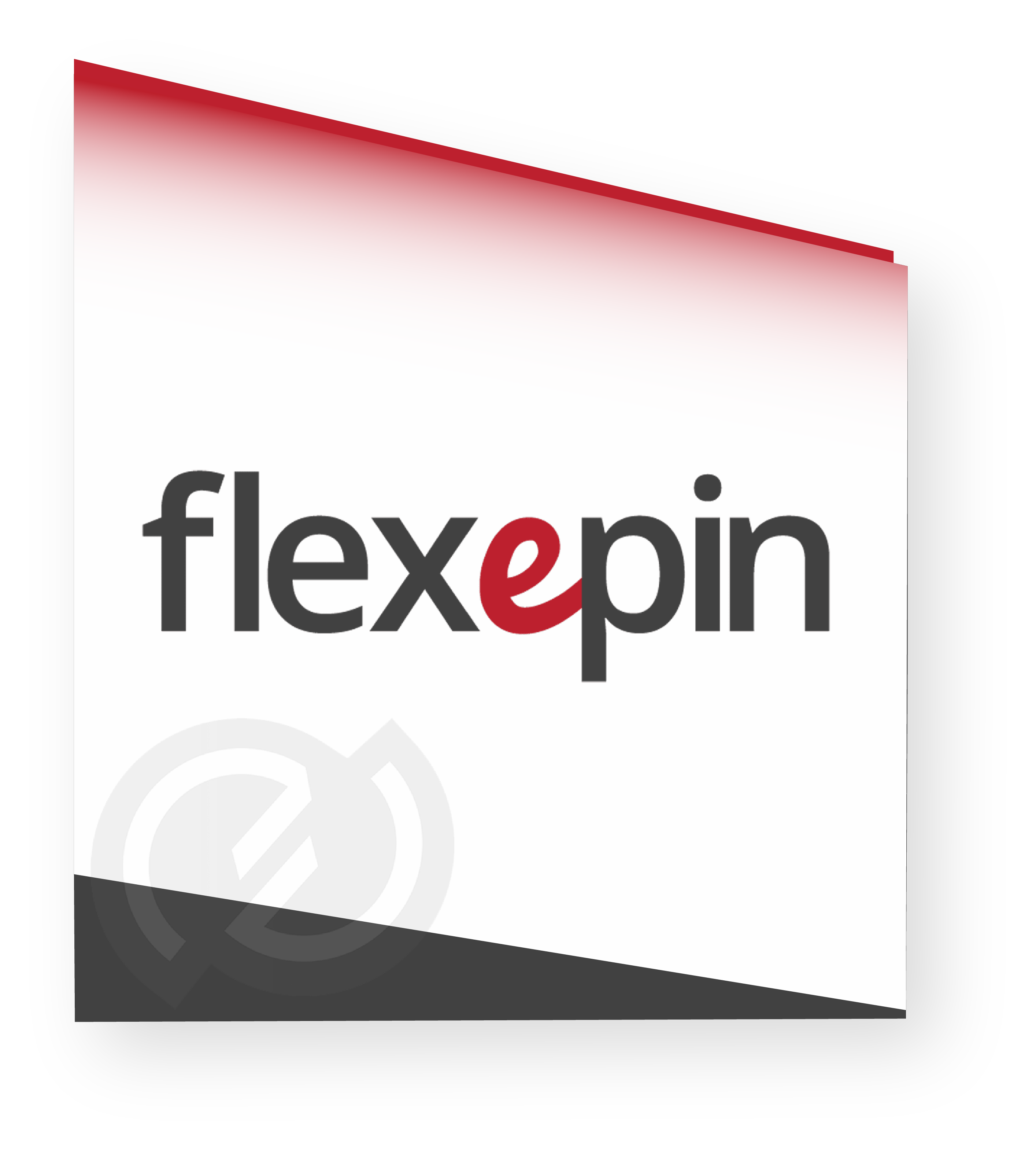 Image logo Flexepin