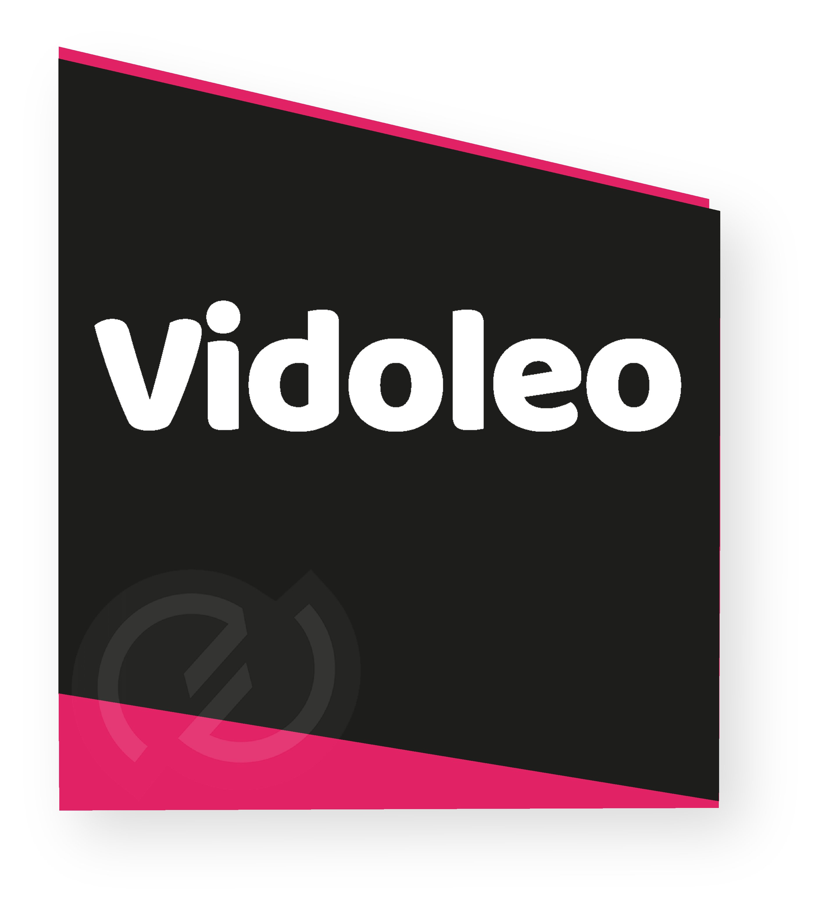 Image logo Vidoleo